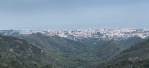 Read more about the article 10 Dinge, die Sie in Marbella unbedingt gemacht haben müssen!